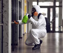 Lemoyne, PA Mold Removal Company